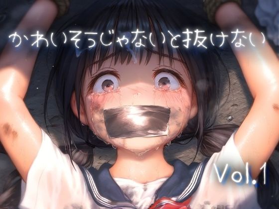 【ＣＧ画像】かわいそうじゃないと抜けない vol.1